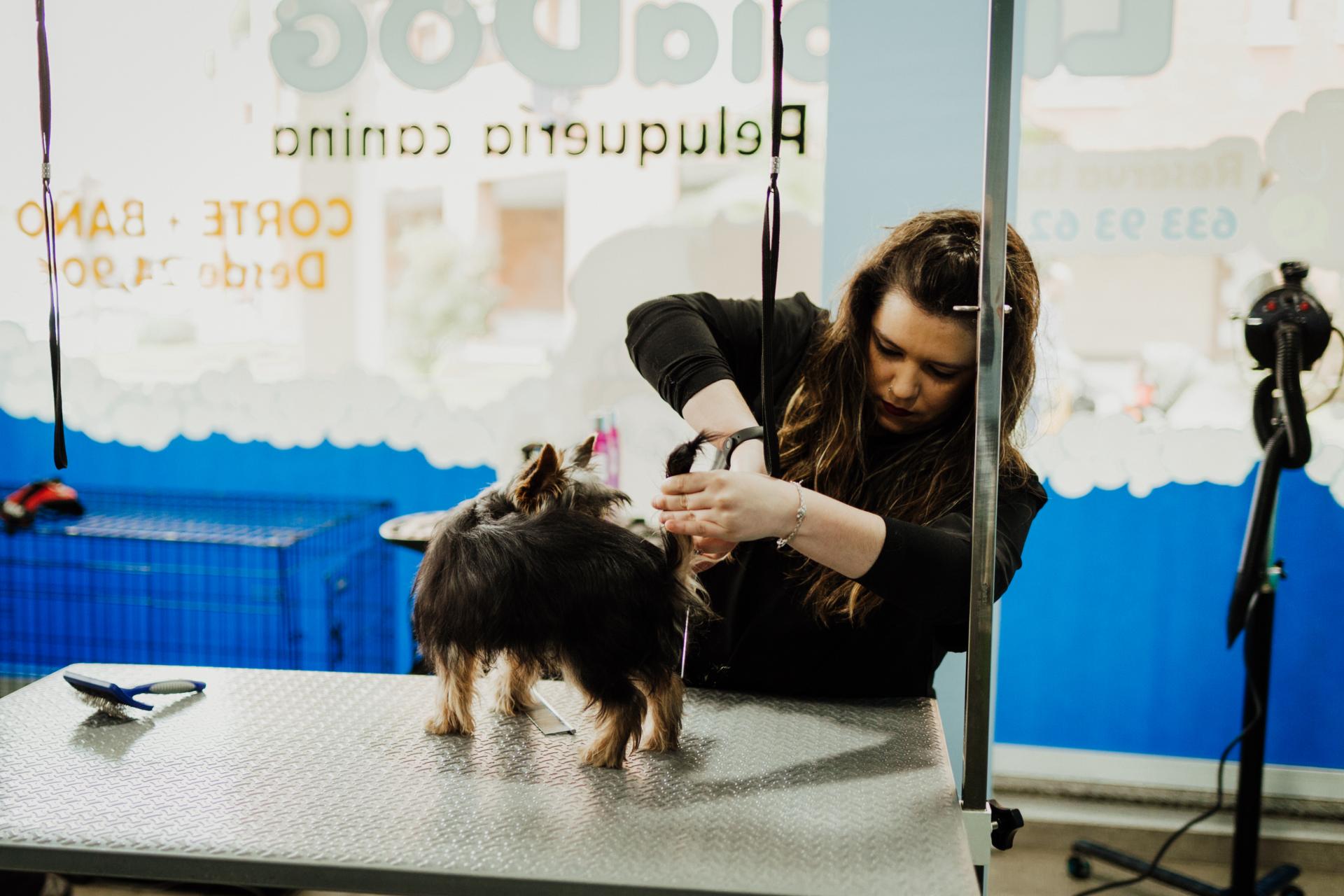 Cursos de Peluquería LimpiaDog