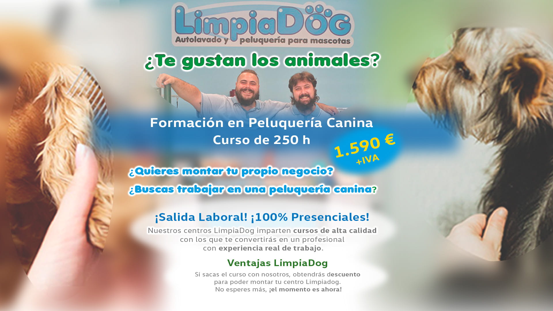 Cursos Peluquería LimpiaDog