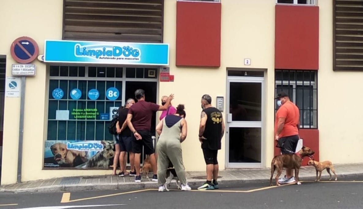 Contacta con LimpiaDog Contacta con LimpiaDog